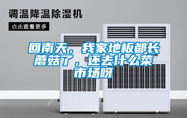 回南天，我家地板都長蘑菇了，還去什么菜市場呀