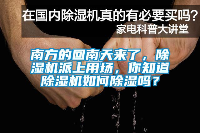 南方的回南天來了，除濕機派上用場，你知道除濕機如何除濕嗎？