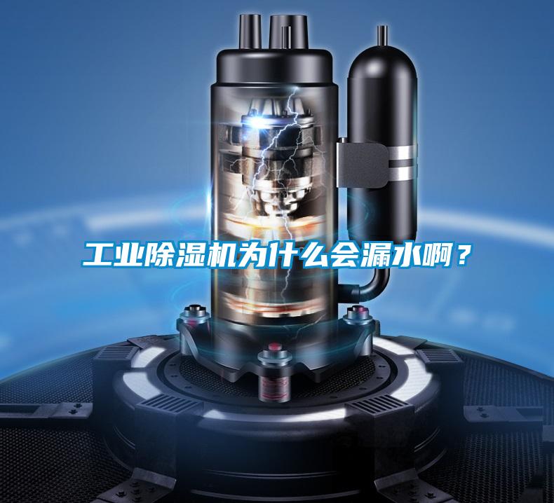工業(yè)除濕機(jī)為什么會漏水啊？