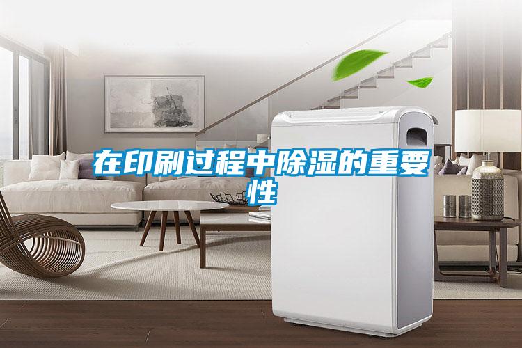 在印刷過(guò)程中除濕的重要性