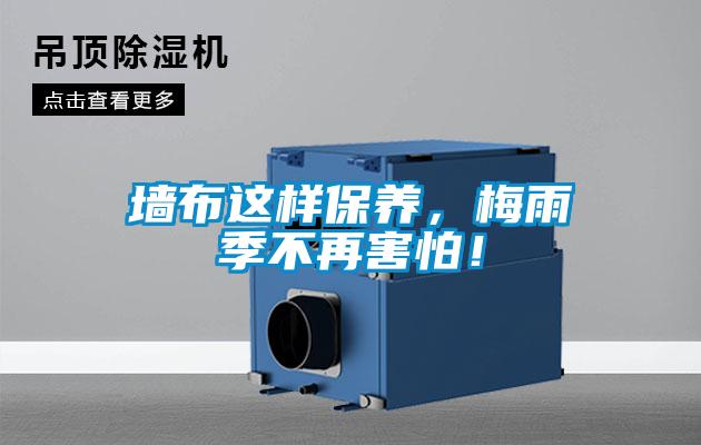 墻布這樣保養(yǎng)，梅雨季不再害怕！