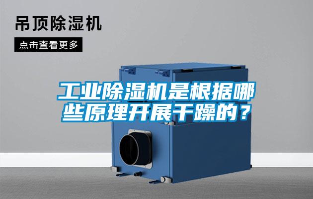 工業(yè)除濕機(jī)是根據(jù)哪些原理開展干躁的？