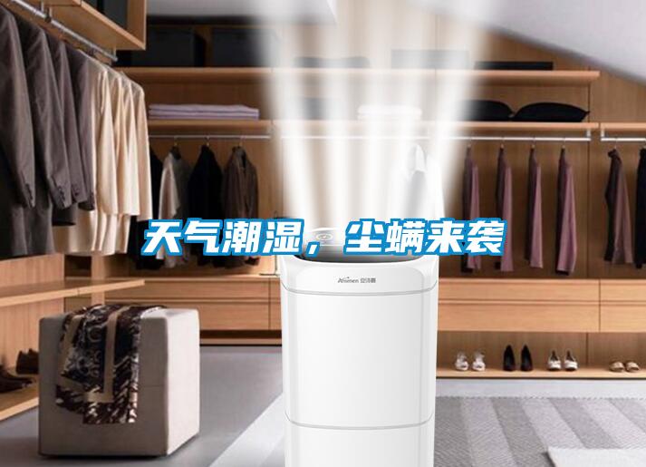 天氣潮濕，塵螨來襲