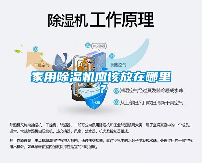 家用除濕機應該放在哪里？