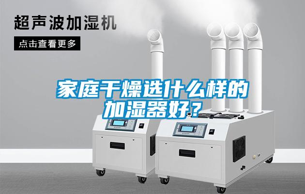 家庭干燥選什么樣的加濕器好？