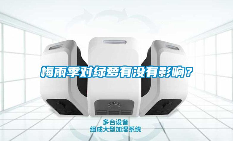 梅雨季對綠蘿有沒有影響？