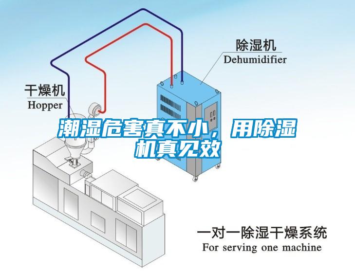 潮濕危害真不小，用除濕機(jī)真見效