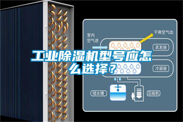 工業(yè)除濕機(jī)型號(hào)應(yīng)怎么選擇？
