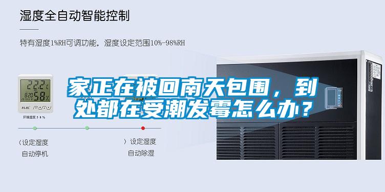 家正在被回南天包圍，到處都在受潮發霉怎么辦？