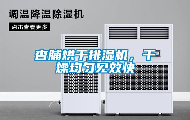 杏脯烘干排濕機(jī)，干燥均勻見(jiàn)效快