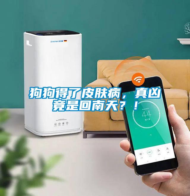 狗狗得了皮膚病，真兇竟是回南天？！