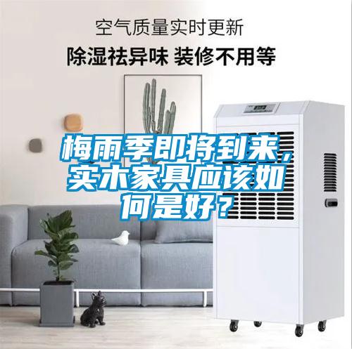 梅雨季即將到來，實木家具應該如何是好？