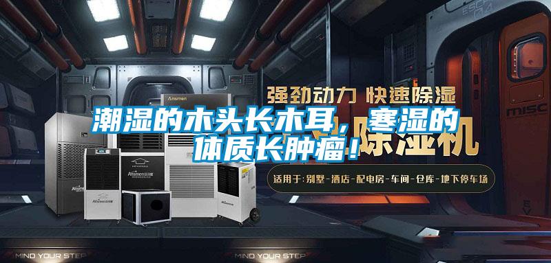 潮濕的木頭長木耳，寒濕的體質長腫瘤！