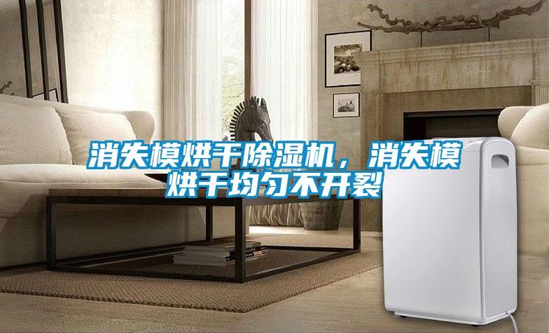消失模烘干除濕機(jī)，消失模烘干均勻不開(kāi)裂