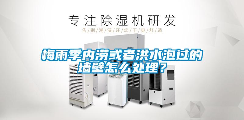 梅雨季內澇或者洪水泡過的墻壁怎么處理？