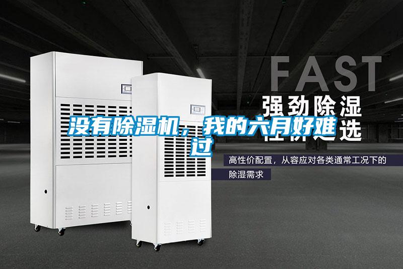 沒有除濕機(jī)，我的六月好難過