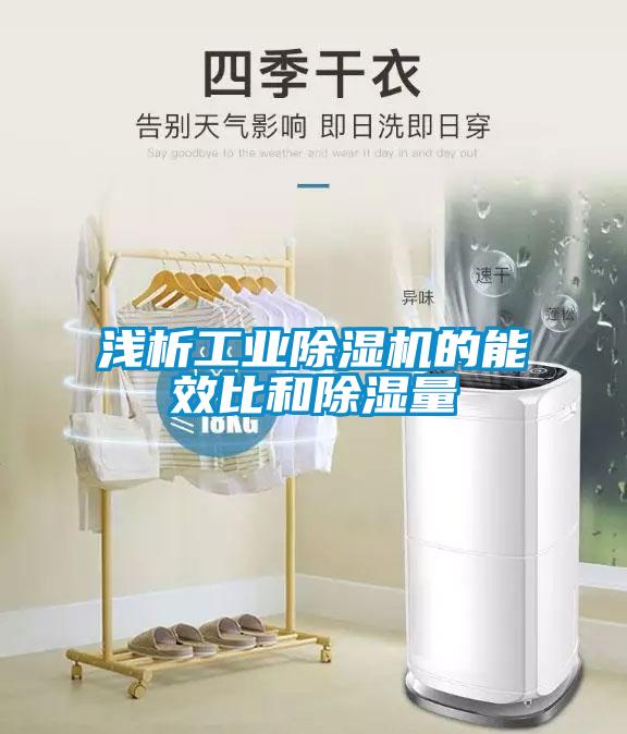 淺析工業除濕機的能效比和除濕量