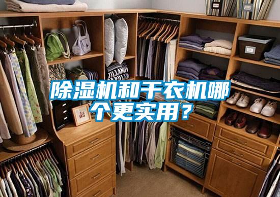 除濕機和干衣機哪個更實用？
