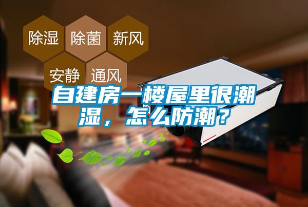 自建房一樓屋里很潮濕，怎么防潮？