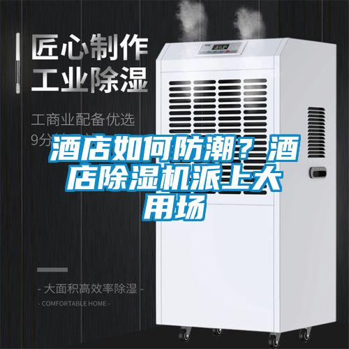 酒店如何防潮？酒店除濕機派上大用場