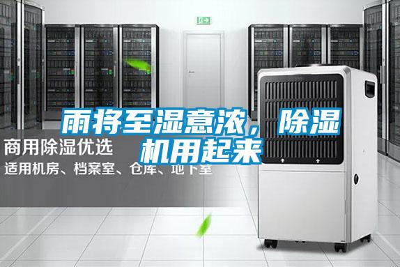 雨將至濕意濃，除濕機用起來