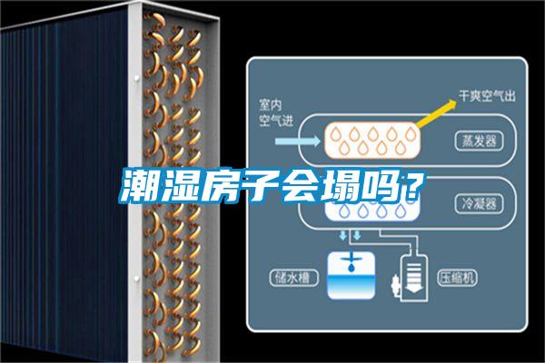 潮濕房子會(huì)塌嗎？