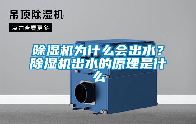 除濕機為什么會出水？除濕機出水的原理是什么