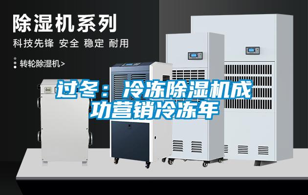 過(guò)冬：冷凍除濕機(jī)成功營(yíng)銷(xiāo)冷凍年