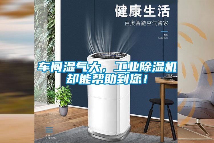 車間濕氣大，工業(yè)除濕機卻能幫助到您！
