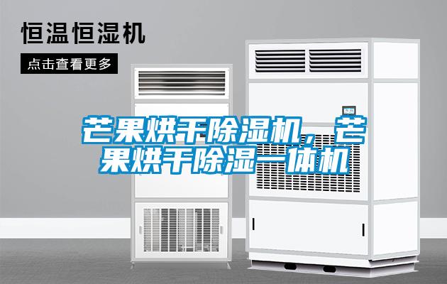 芒果烘干除濕機，芒果烘干除濕一體機