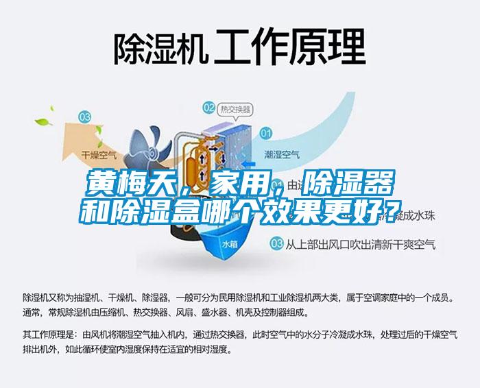 黃梅天，家用，除濕器和除濕盒哪個(gè)效果更好？