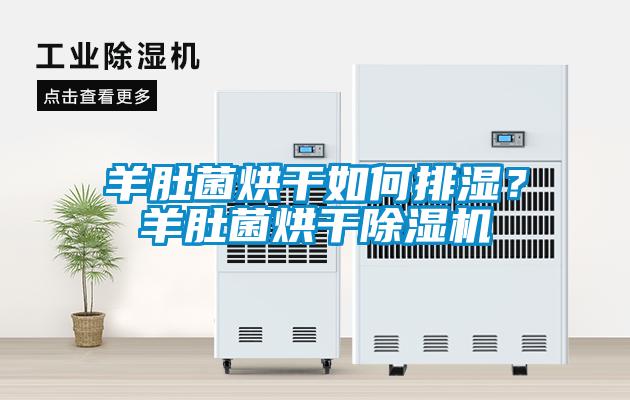 羊肚菌烘干如何排濕？羊肚菌烘干除濕機