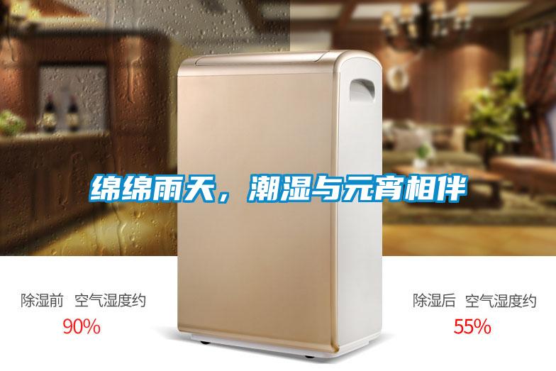 綿綿雨天，潮濕與元宵相伴