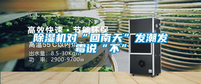 除濕機(jī)對(duì)“回南天”發(fā)潮發(fā)霉說“不”