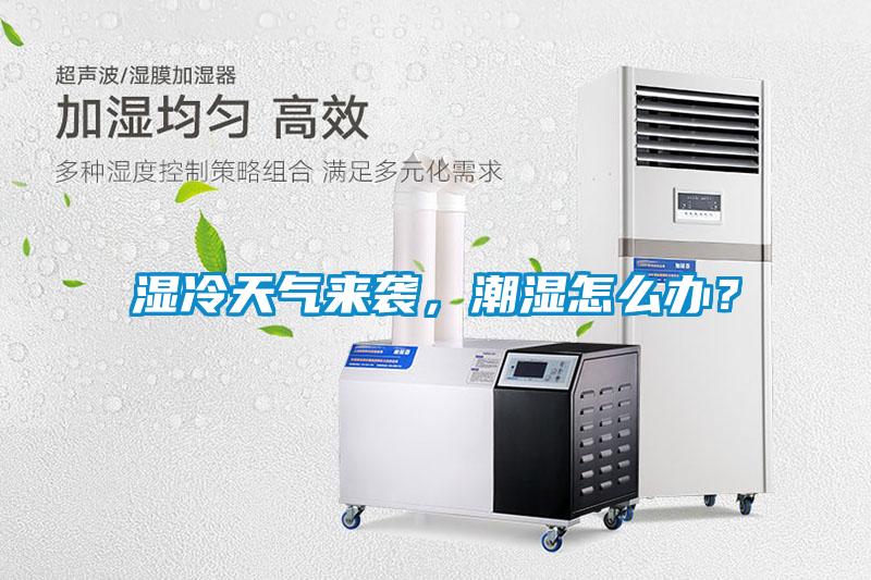 濕冷天氣來襲，潮濕怎么辦？