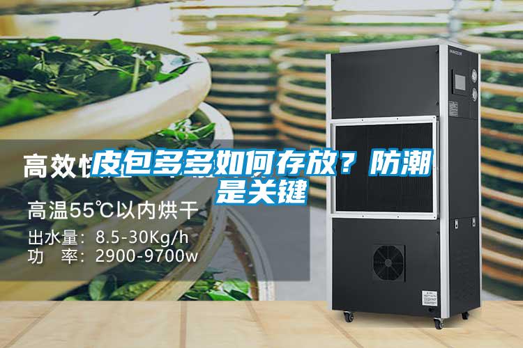 皮包多多如何存放？防潮是關鍵
