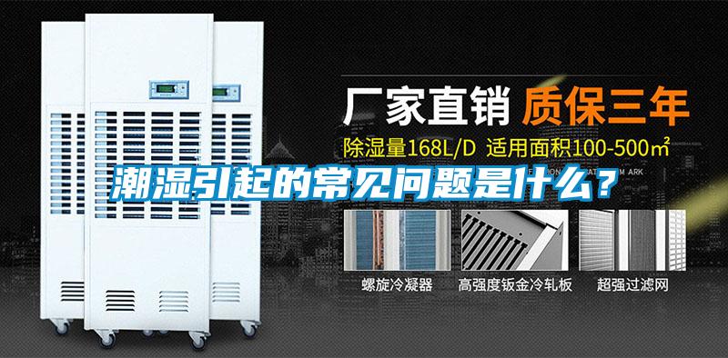 潮濕引起的常見問題是什么?