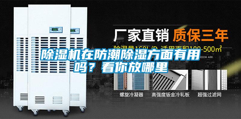 除濕機在防潮除濕方面有用嗎？看你放哪里