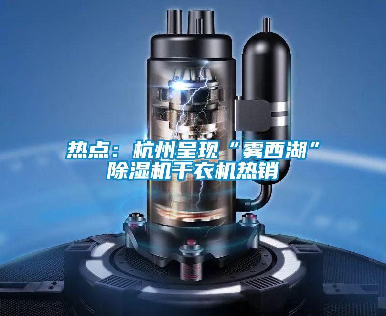 熱點(diǎn)：杭州呈現(xiàn)“霧西湖”除濕機(jī)干衣機(jī)熱銷(xiāo)