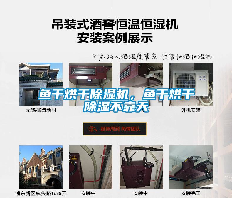 魚(yú)干烘干除濕機(jī)，魚(yú)干烘干除濕不靠天