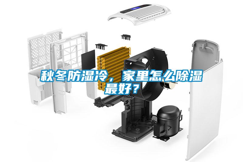 秋冬防濕冷，家里怎么除濕最好？