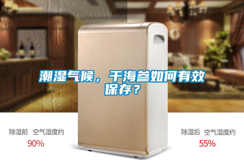 潮濕氣候，干海參如何有效保存？