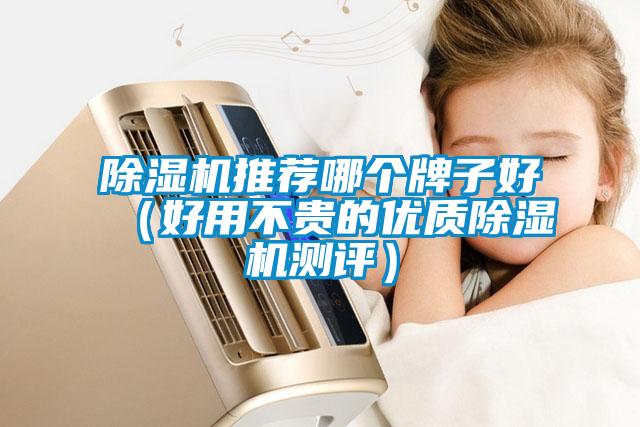 除濕機(jī)推薦哪個牌子好（好用不貴的優(yōu)質(zhì)除濕機(jī)測評）