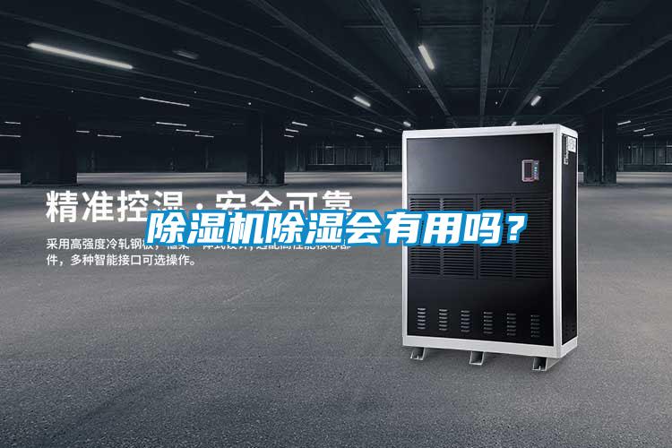 除濕機除濕會有用嗎？