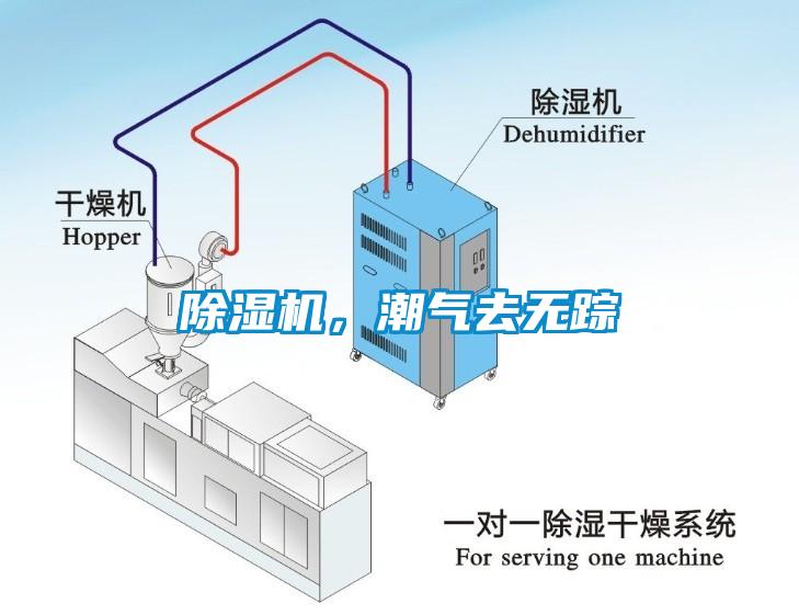 除濕機，潮氣去無蹤
