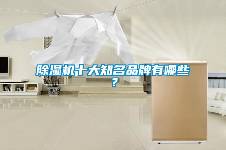 除濕機十大知名品牌有哪些？