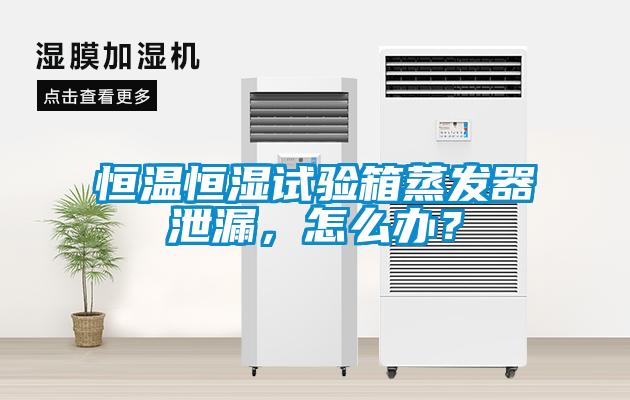 恒溫恒濕試驗箱蒸發器泄漏，怎么辦？