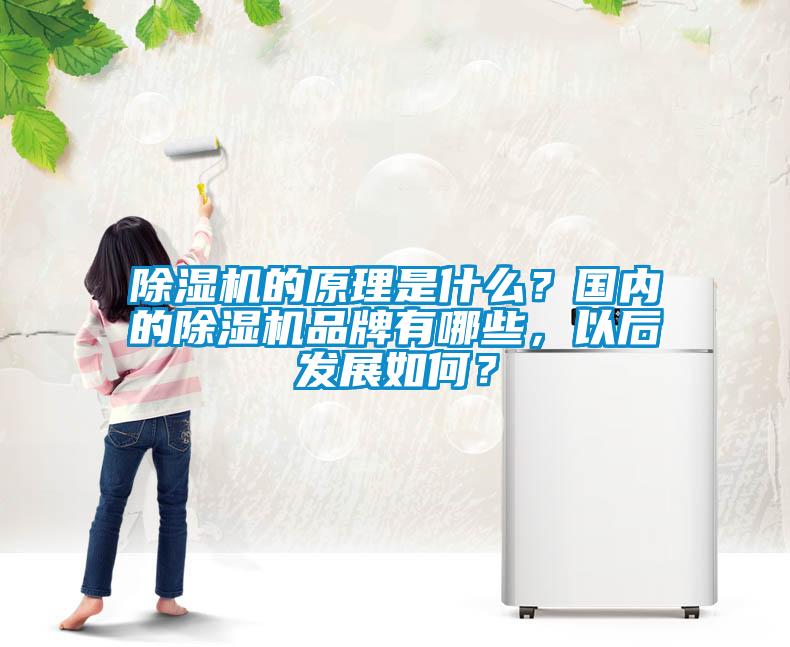 除濕機(jī)的原理是什么？國(guó)內(nèi)的除濕機(jī)品牌有哪些，以后發(fā)展如何？