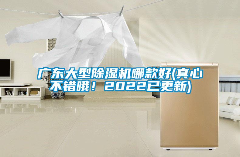 廣東大型除濕機(jī)哪款好(真心不錯(cuò)哦！2022已更新)