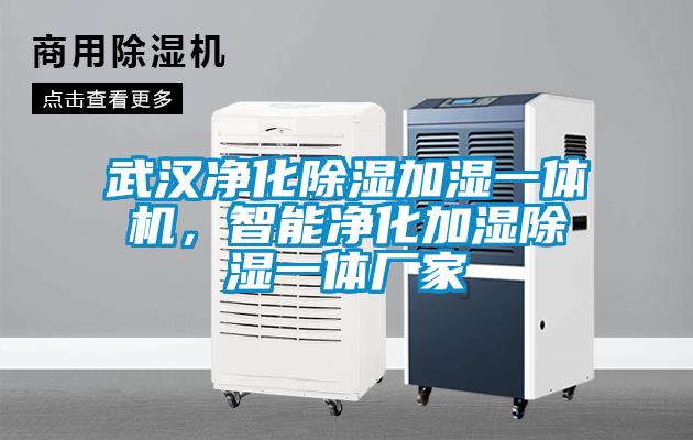 武漢凈化除濕加濕一體機(jī)，智能凈化加濕除濕一體廠家